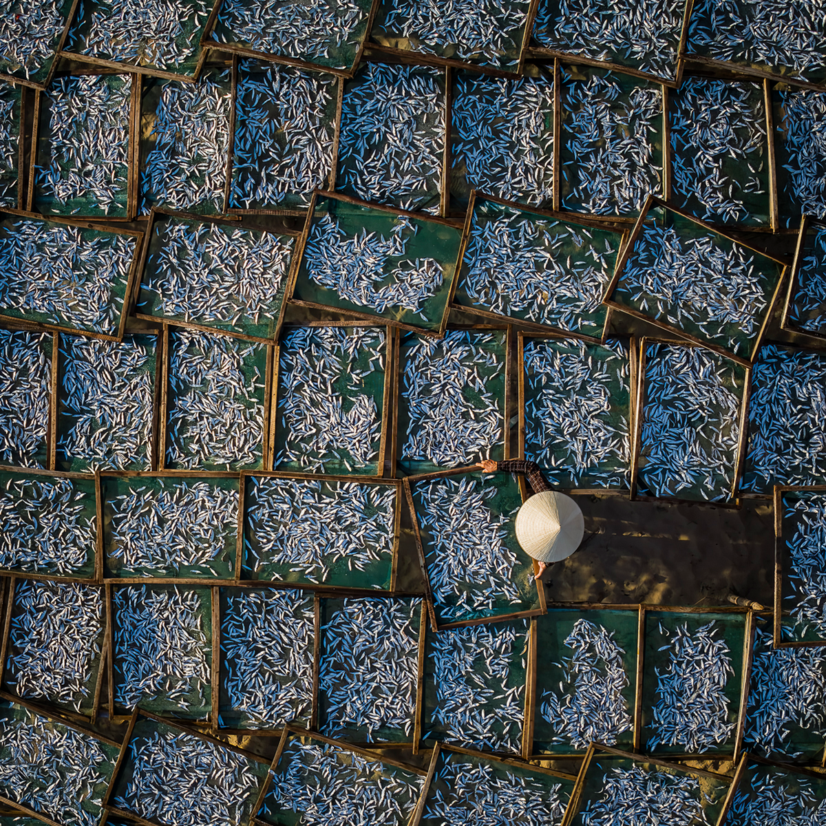 Silver Harvest - Kollektion: Vietnam