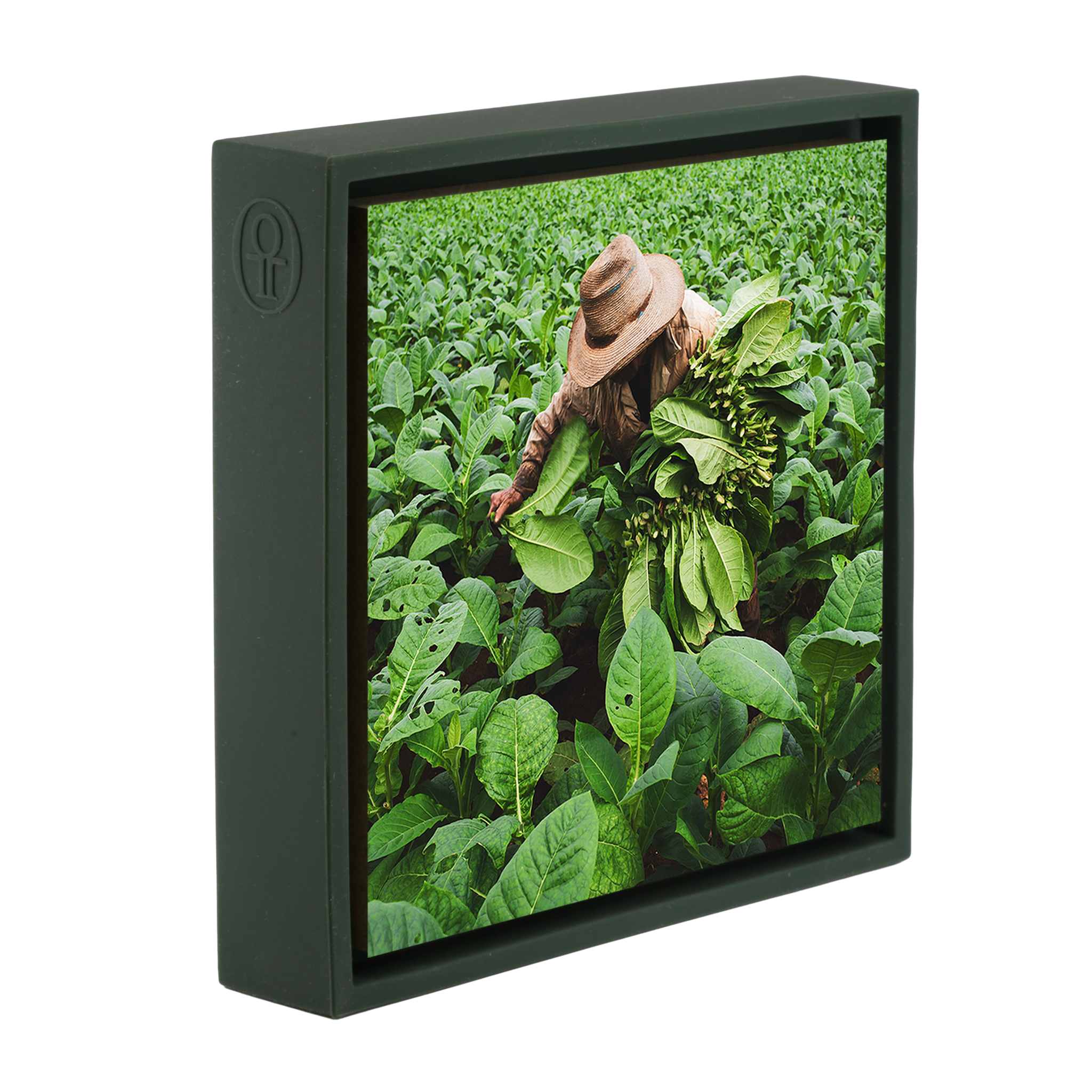 Tobacco Harvester- Dark Green Wrapp