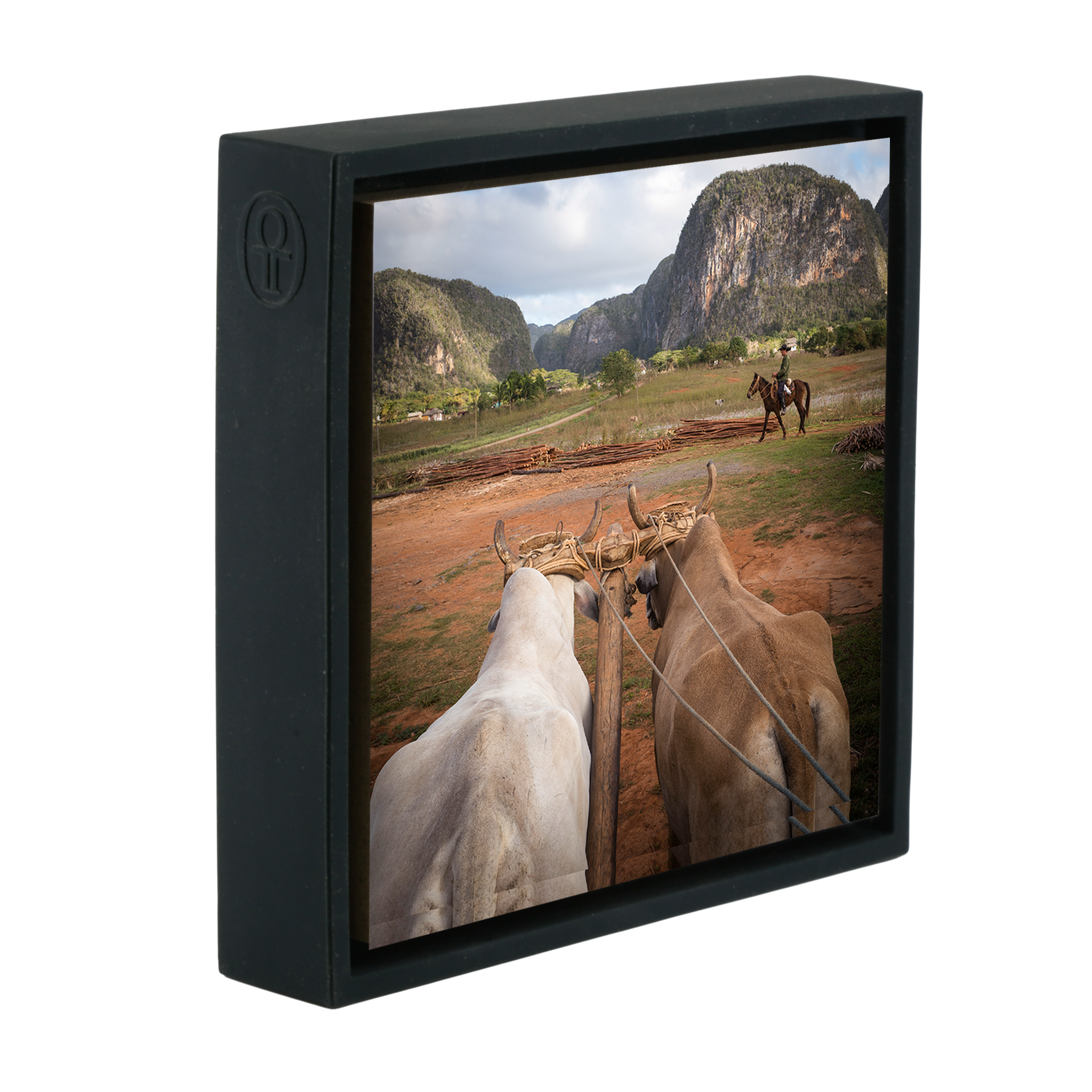 Rural Life- Black Wrapp