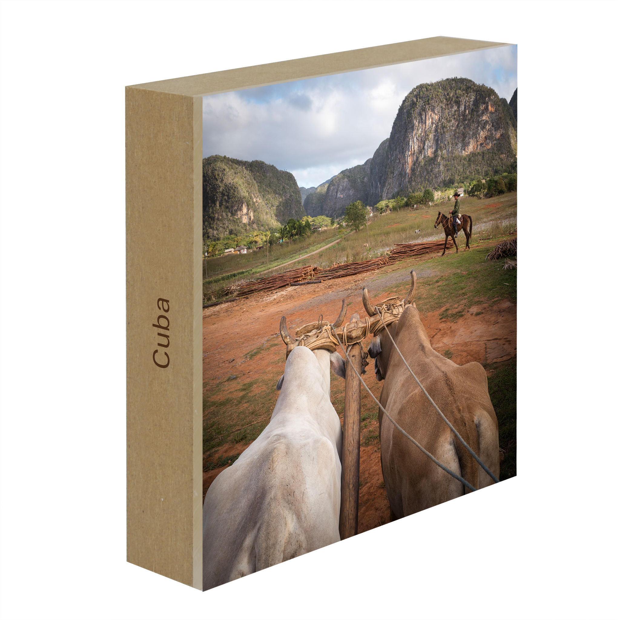 Rural Life- Collection: Cuba