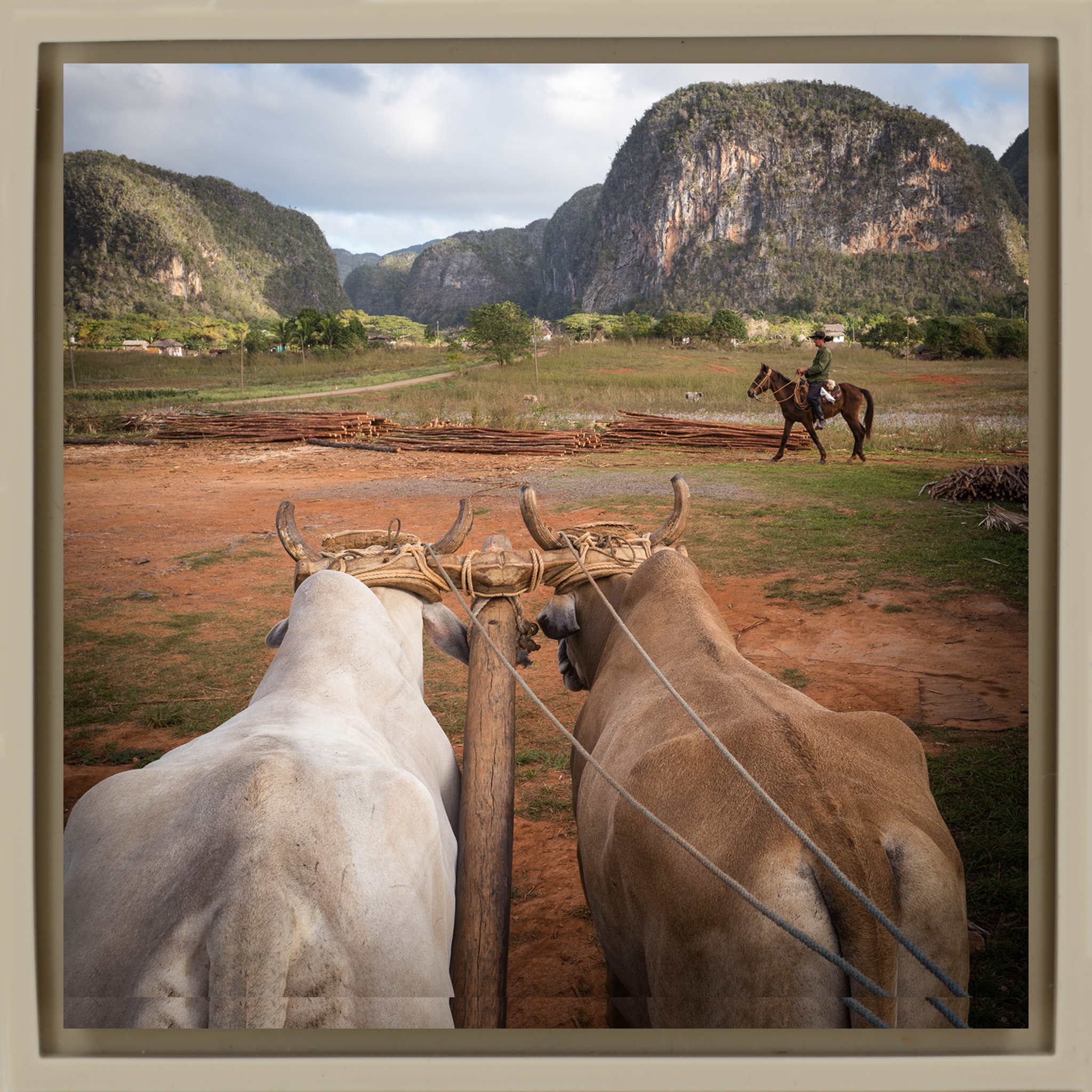 Rural Life- Sand Wrapp