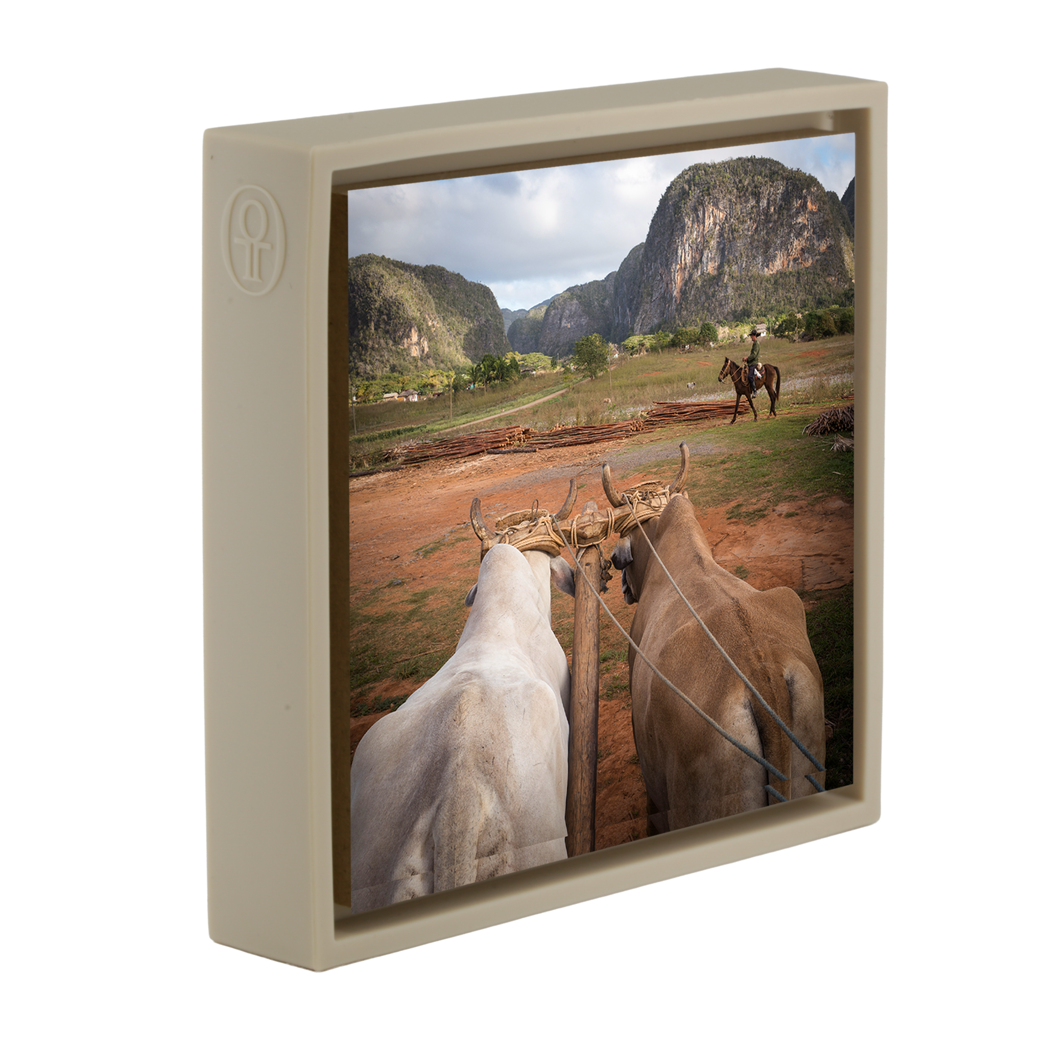 Rural Life- Sand Wrapp