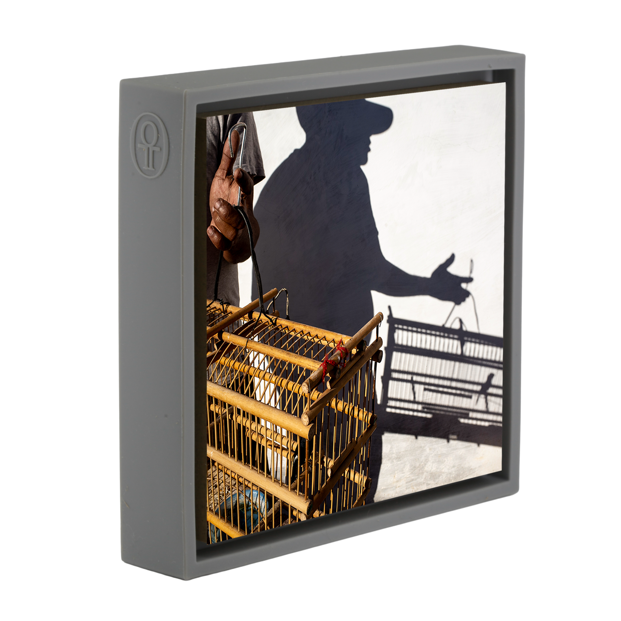 Birds, A Cuban Passion - Grijze Wrapp