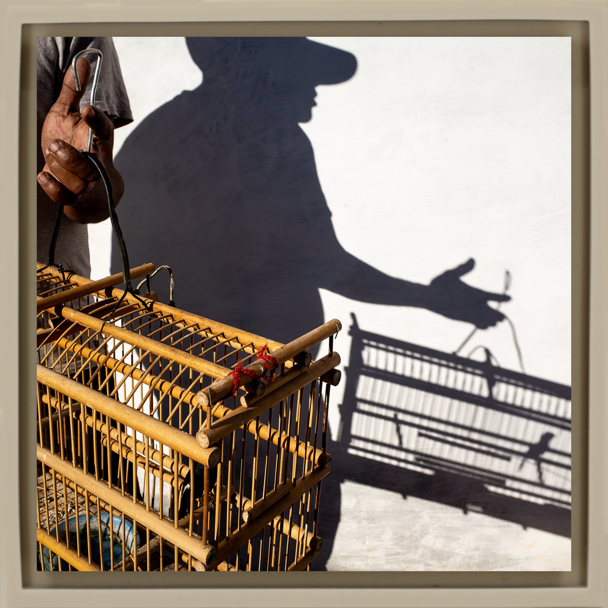 Birds, A Cuban Passion