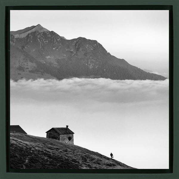 Valtellina - Dark Green Wrapp