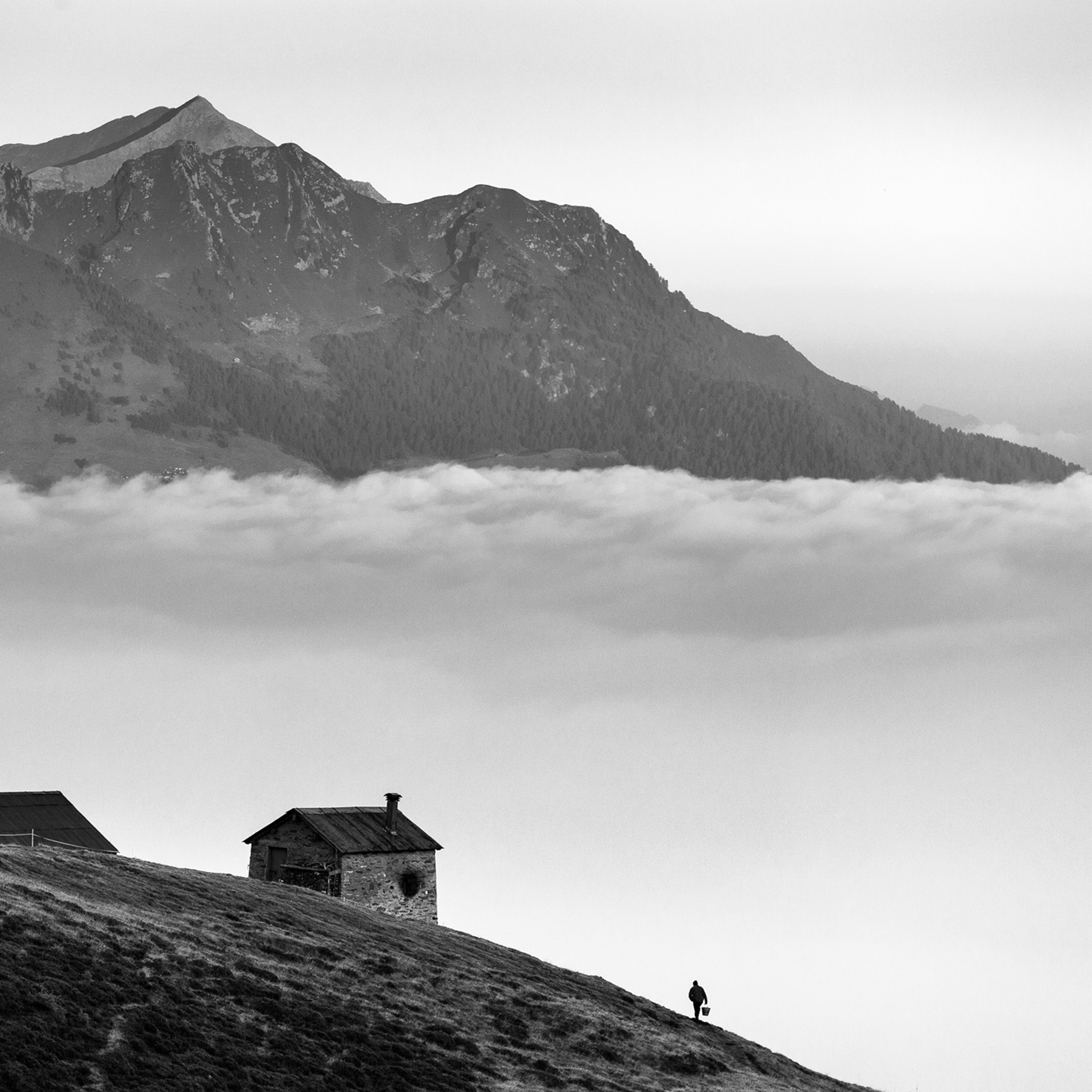 Valtellina- Collection: Italy