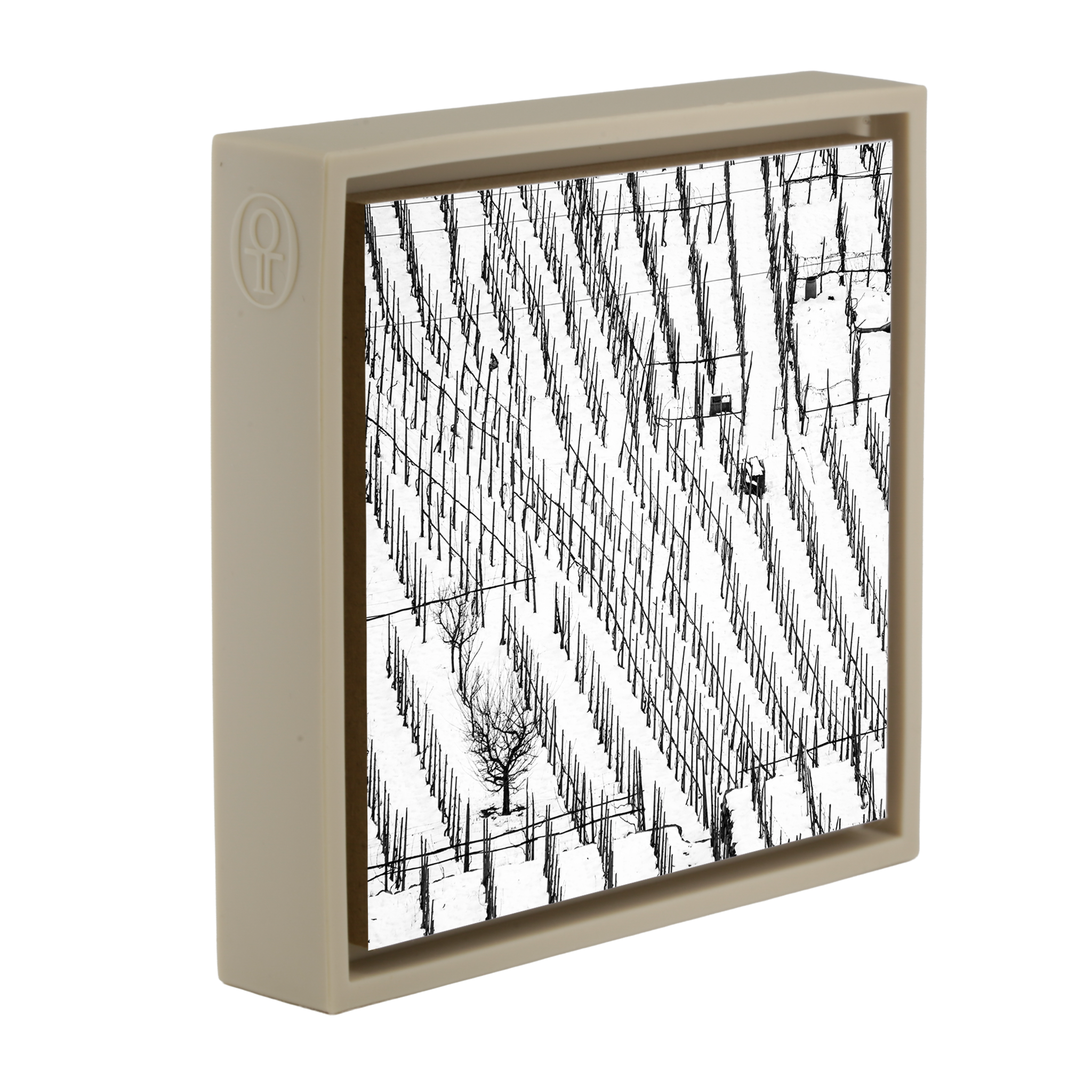 Winter Vineyards- Sand Wrapp