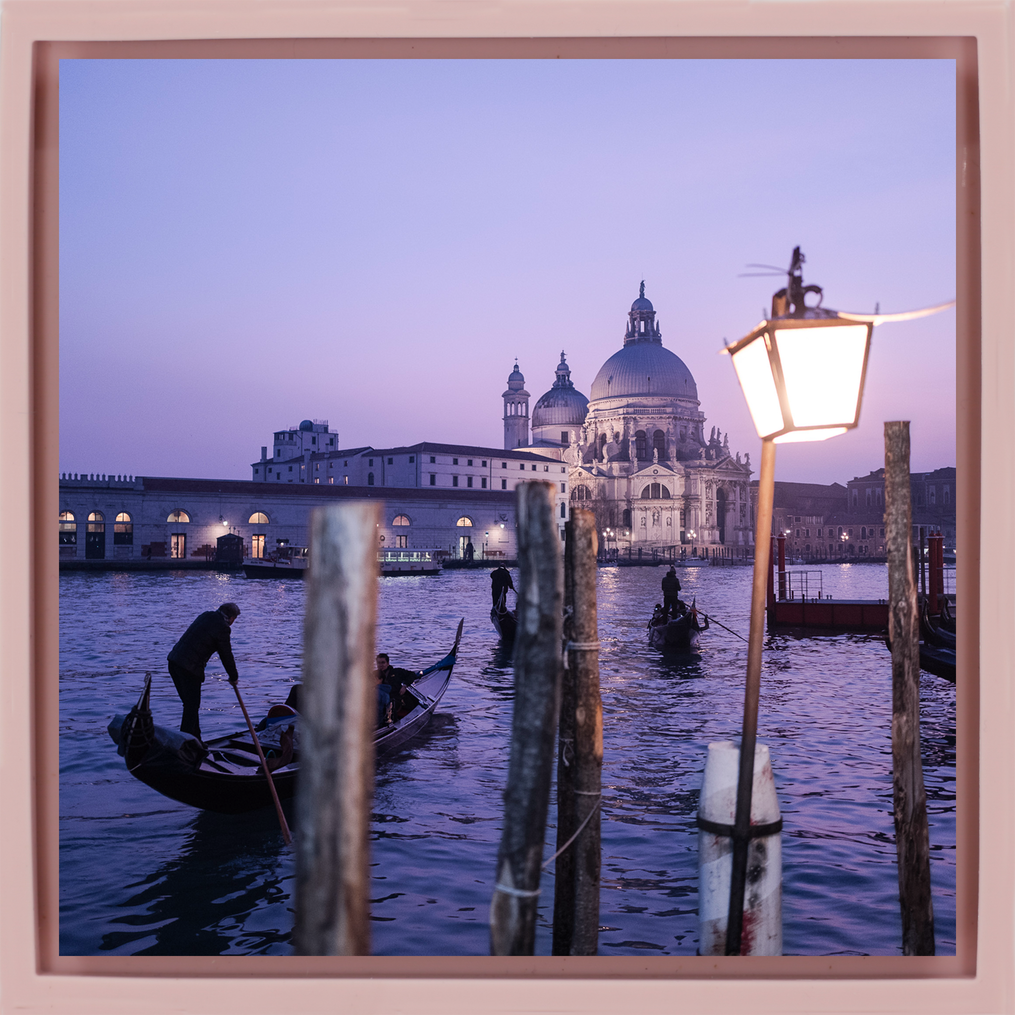 Blue Hour in Venice- Pink Wrapp