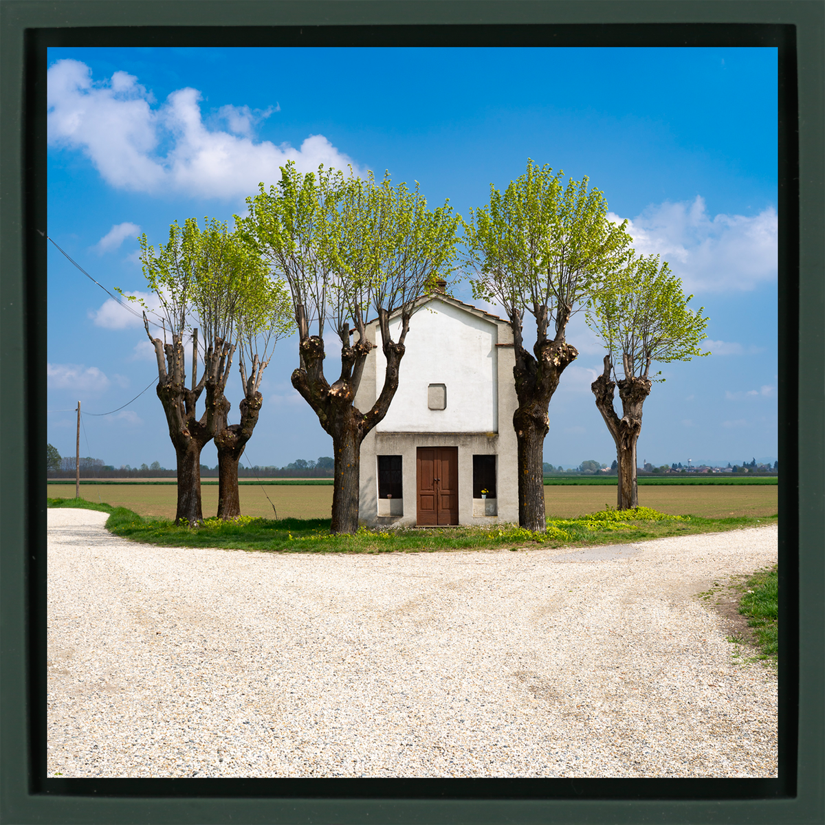 Spring Landscape