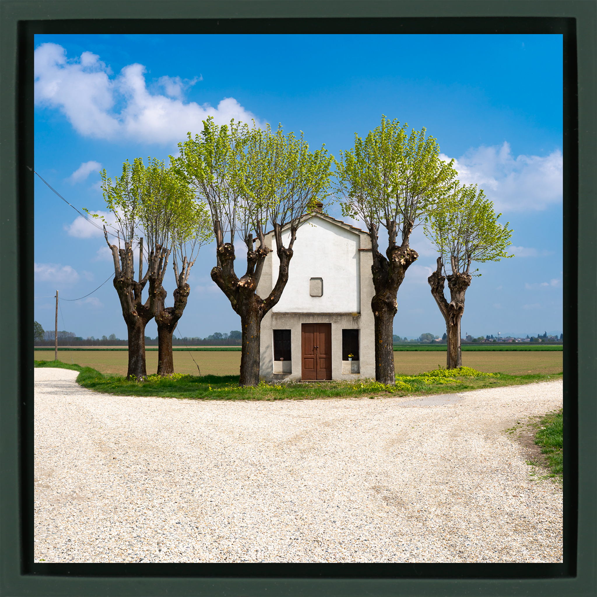 Spring Landscape- Dark Green Wrapp