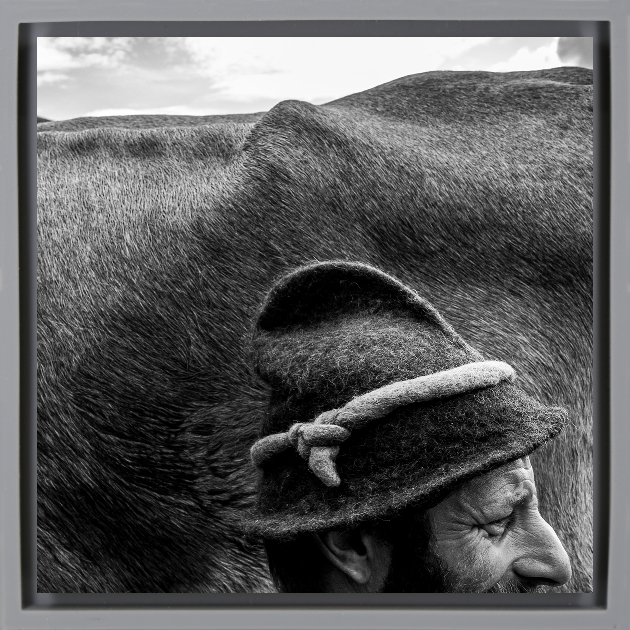 Alfio a Mountain Shepherd- Grey Wrapp