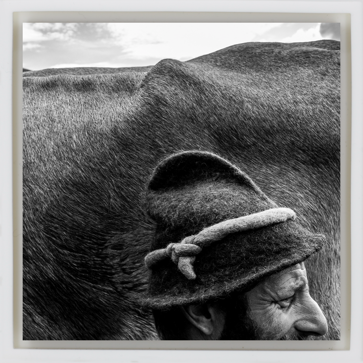 Alfio a Mountain Shepherd