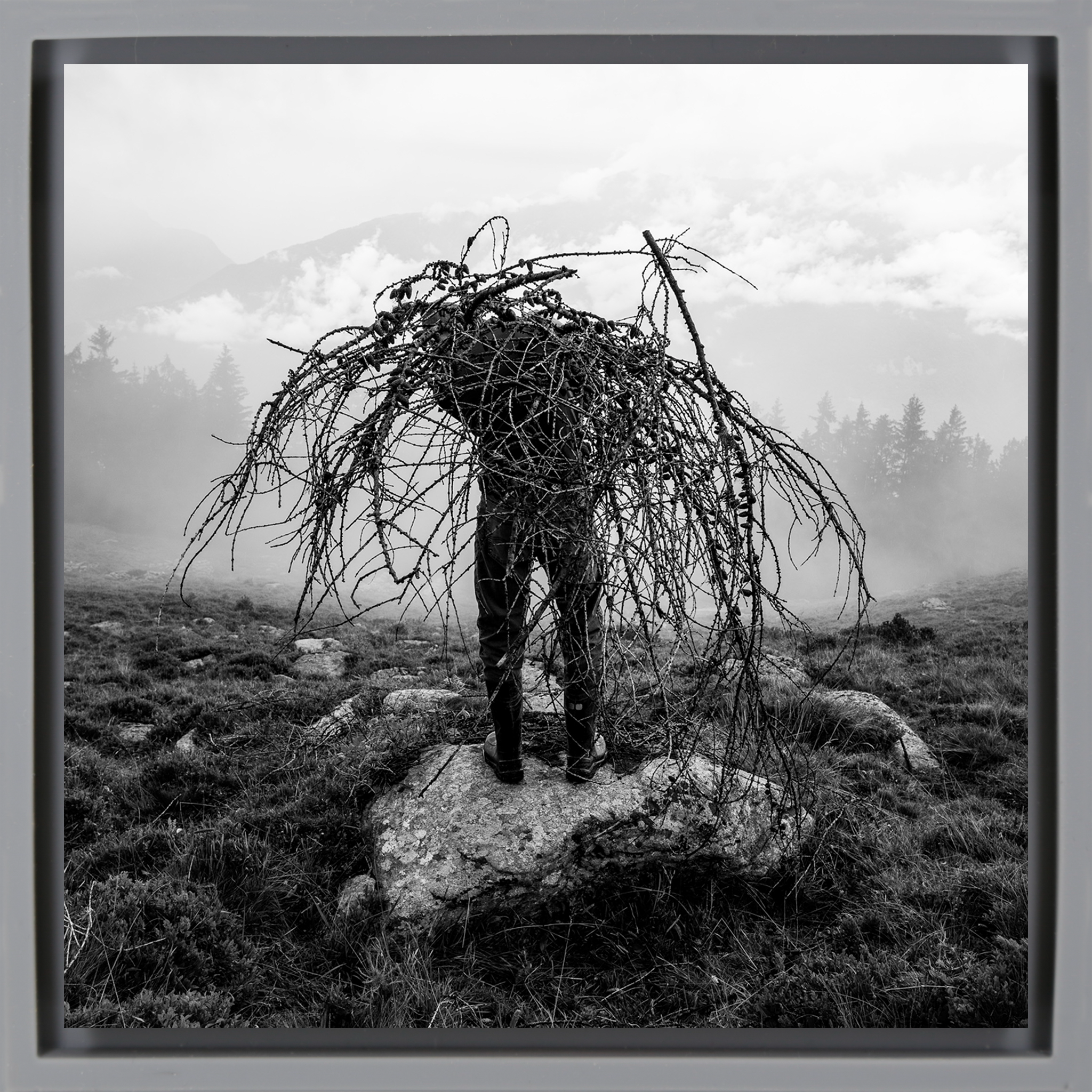 Mountain Pasture- Grey Wrapp