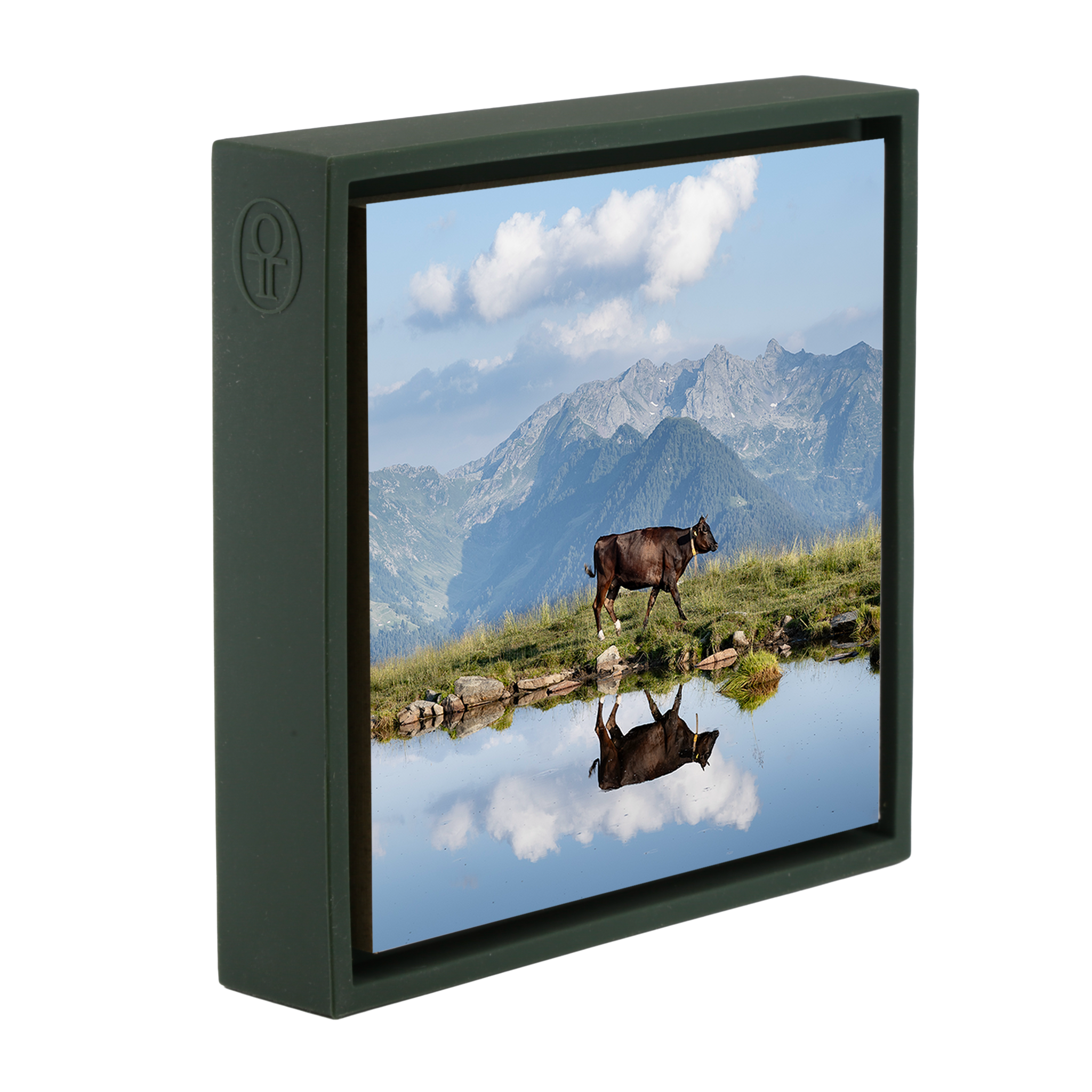 Cow Above the Clouds- Dark Green Wrapp
