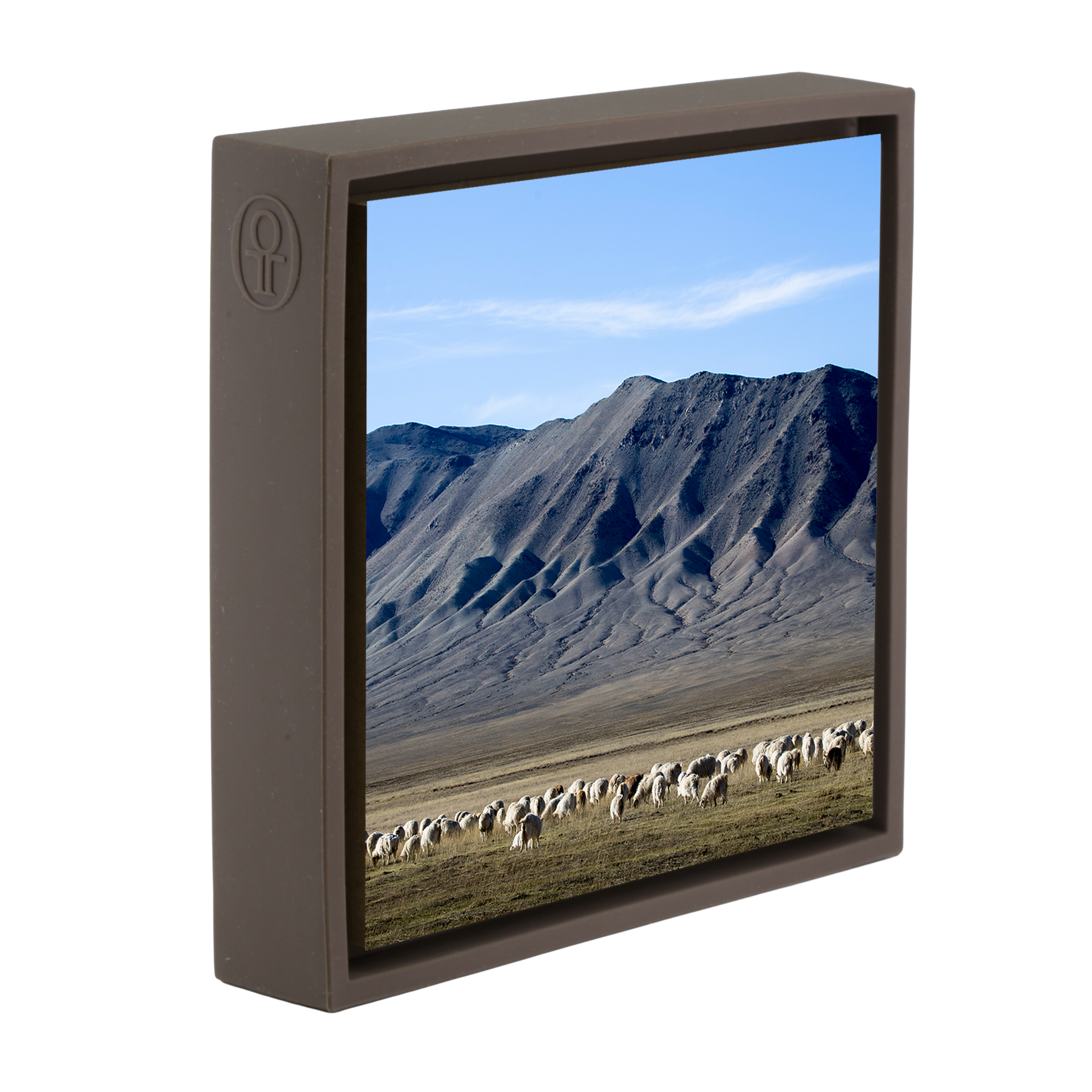 Cashmere Goats Grazing- Brown Wrapp