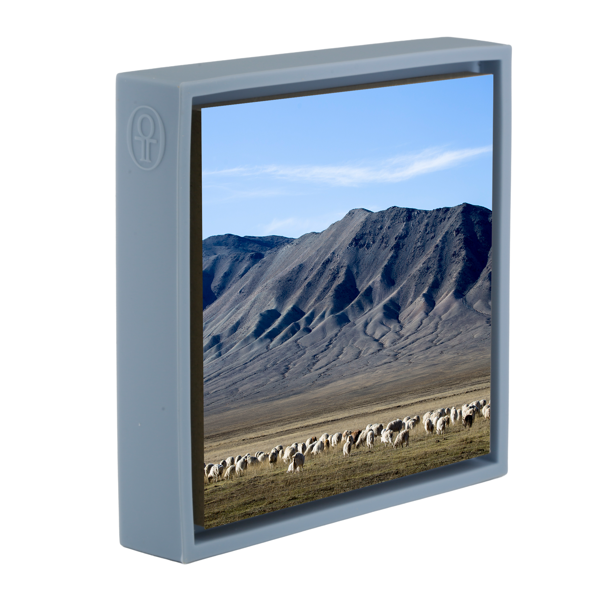 Cashmere Goats Grazing- Light Blue Wrapp