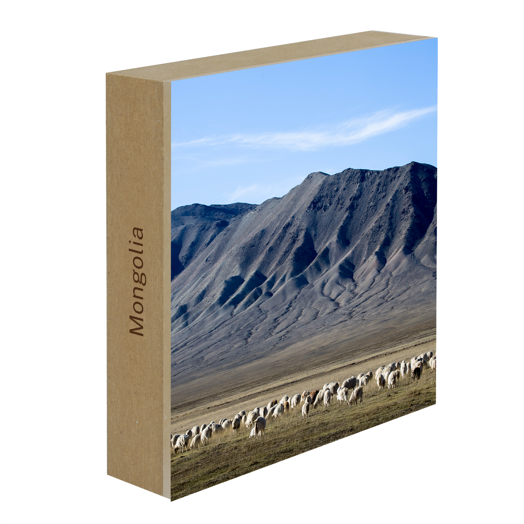 Cashmere Goats Grazing- Collection: Mongolia