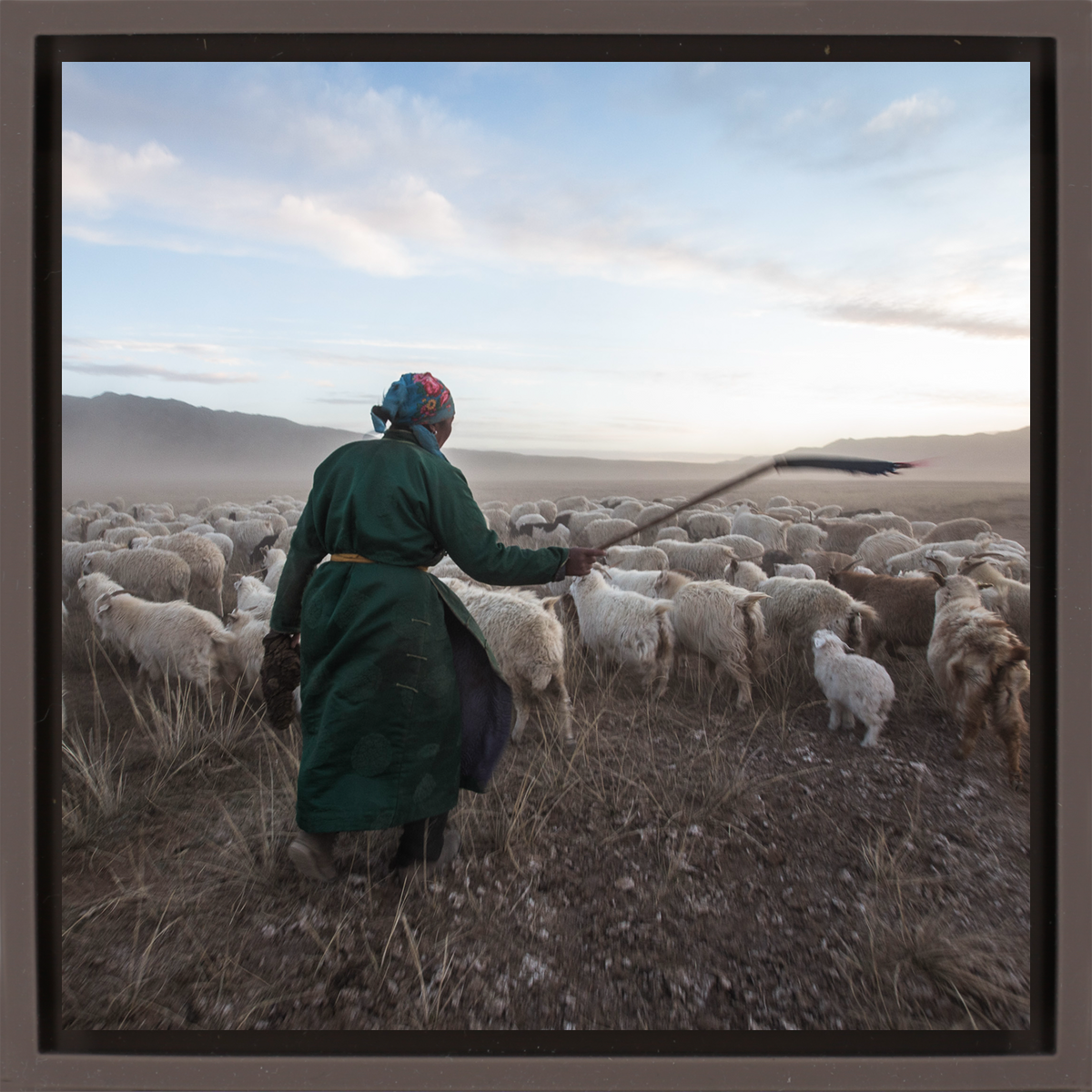 Shepherd with his Goats