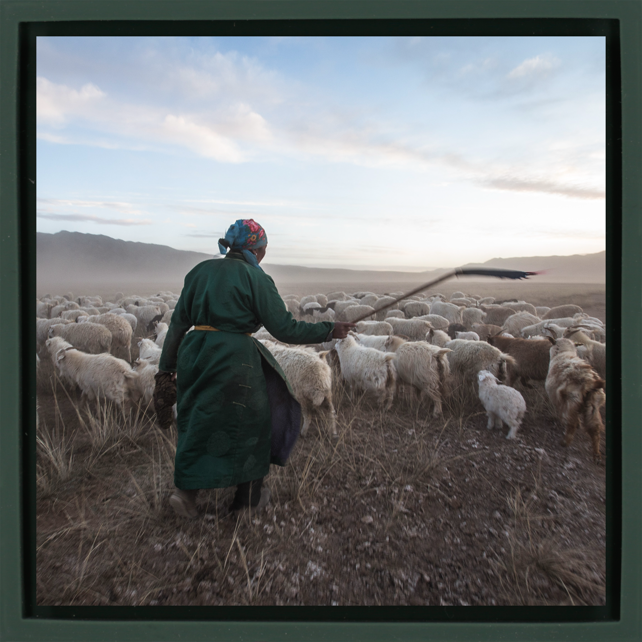 Shepherd with his Goats- Dark Green Wrapp