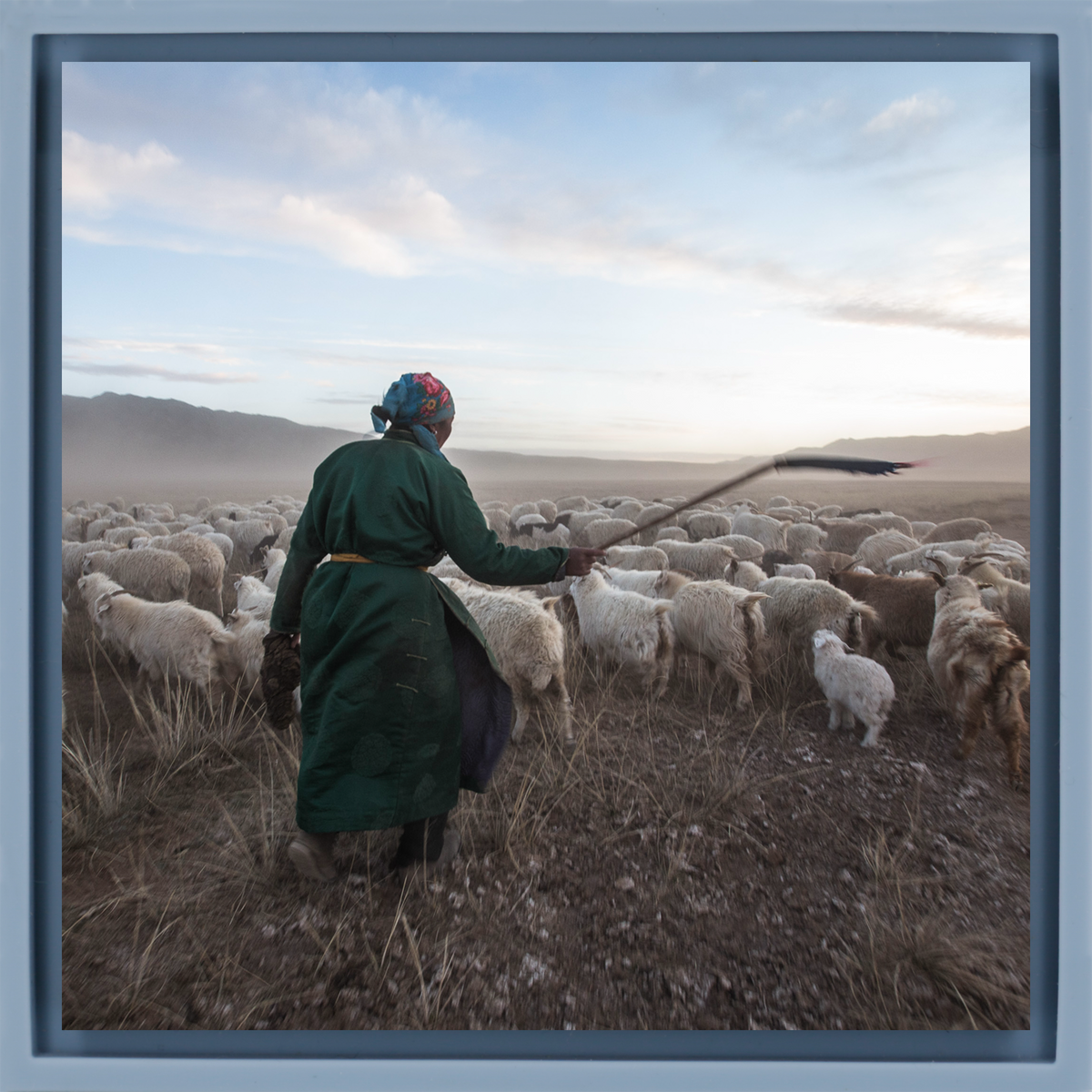 Shepherd with his Goats