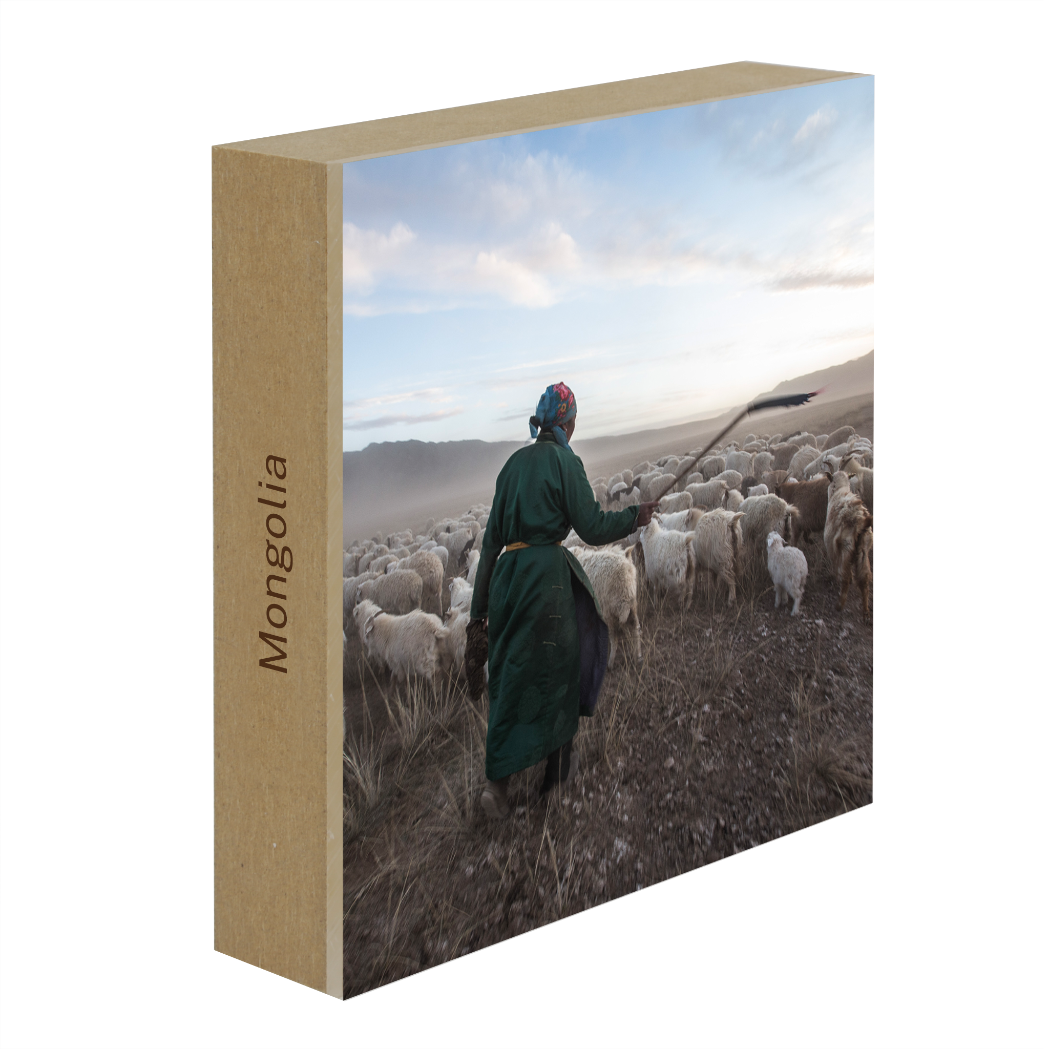 Shepherd with his Goats- Collection: Mongolia