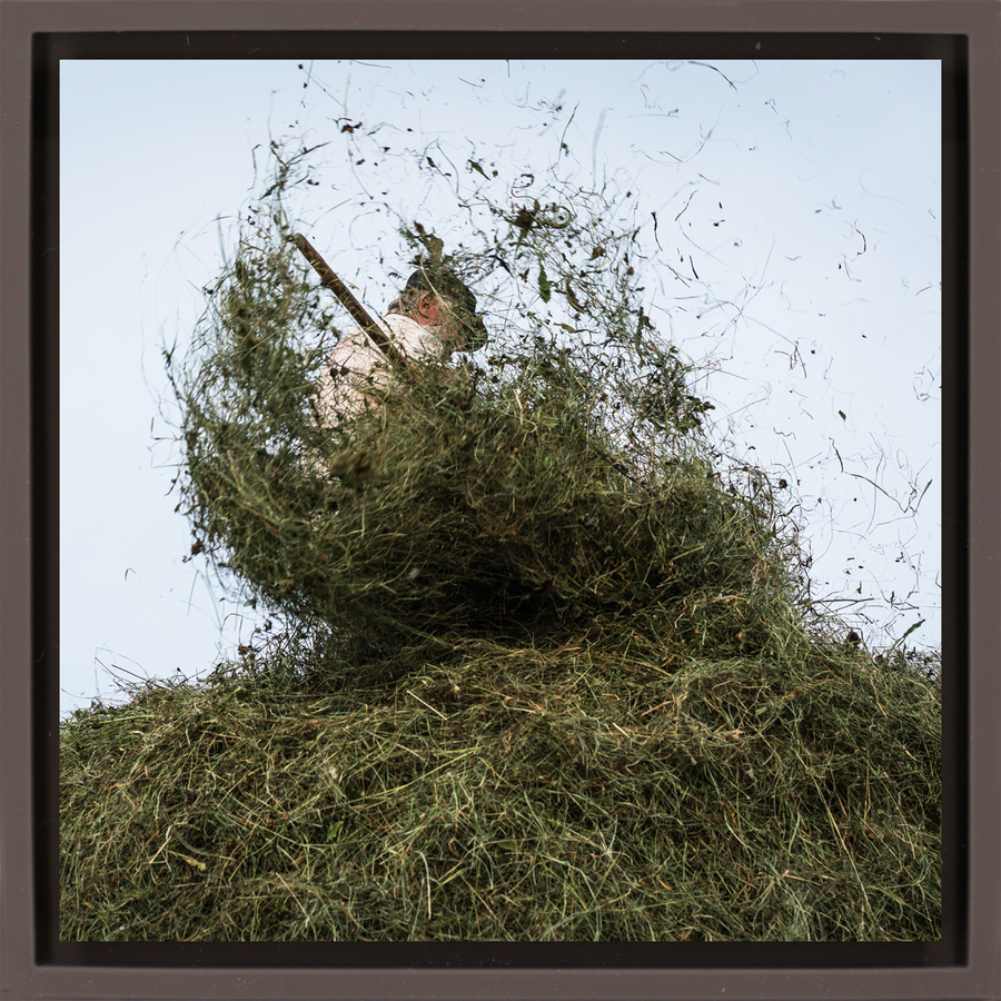 Hay Season - Braune Wrapp