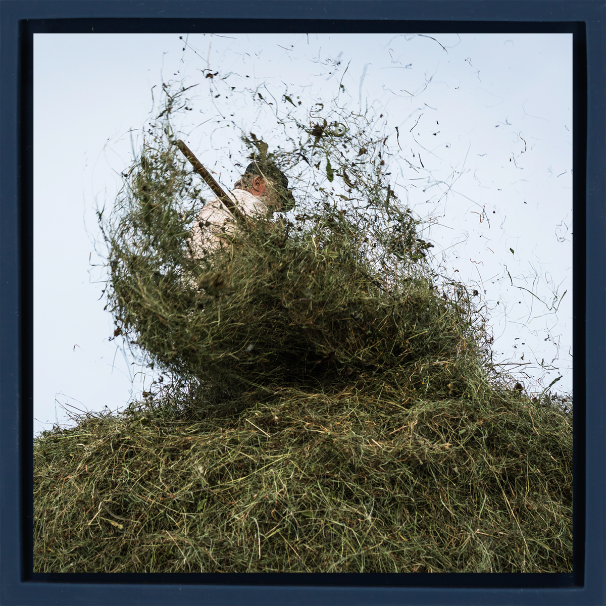 Hay Season
