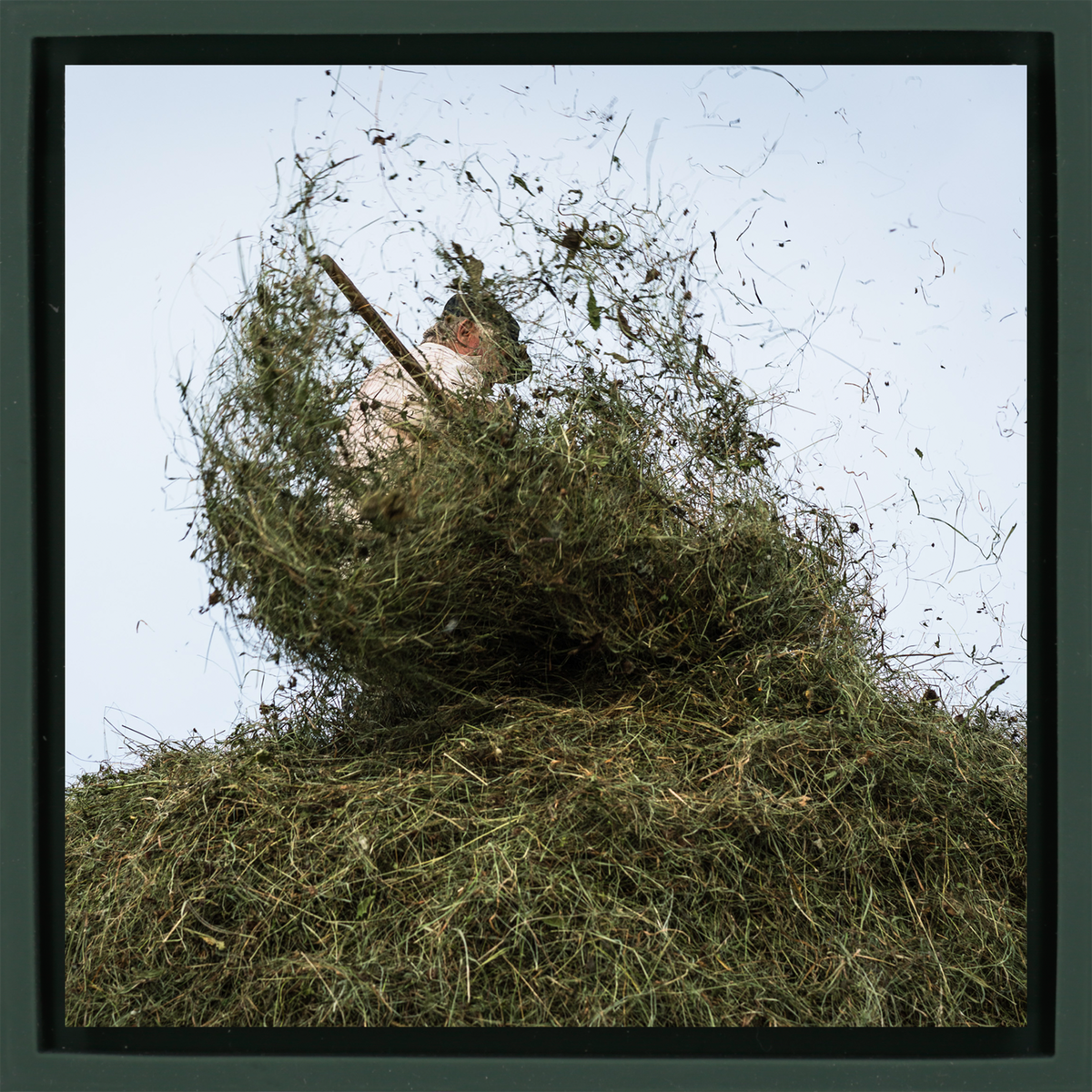 Hay Season