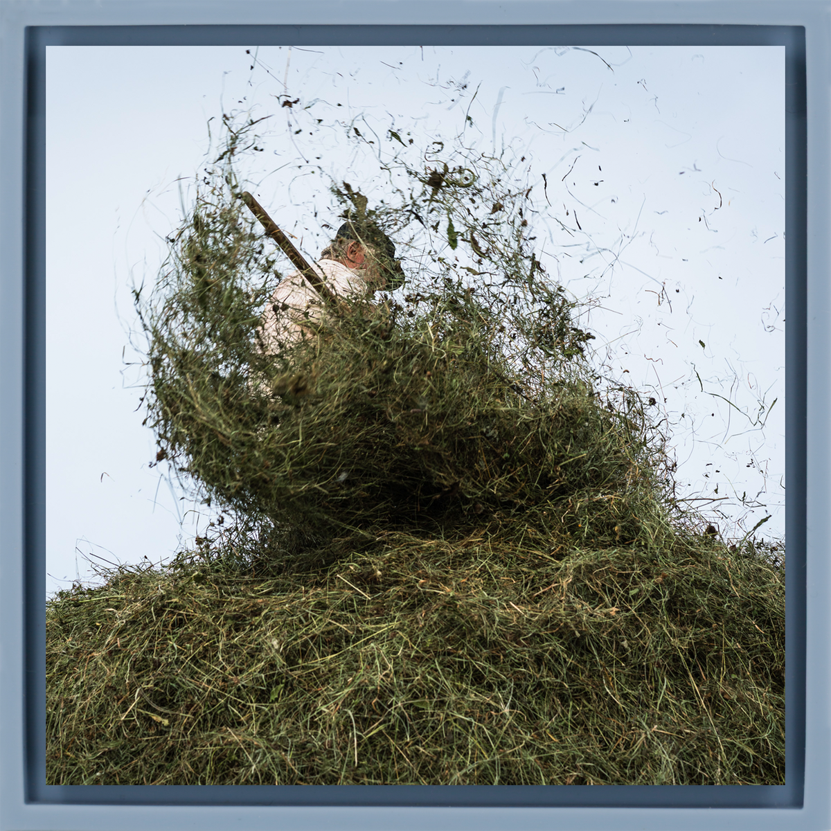 Hay Season