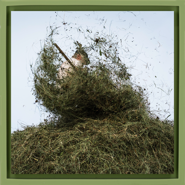 Hay Season - Hellgrüne Wrapp