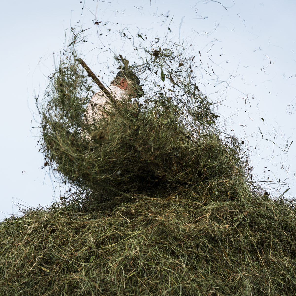 Hay Season