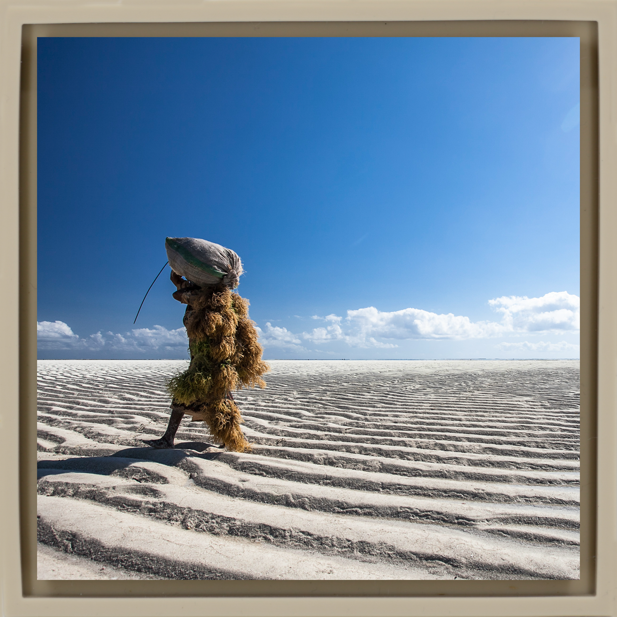 Seaweed Harvesters- Sand Wrapp