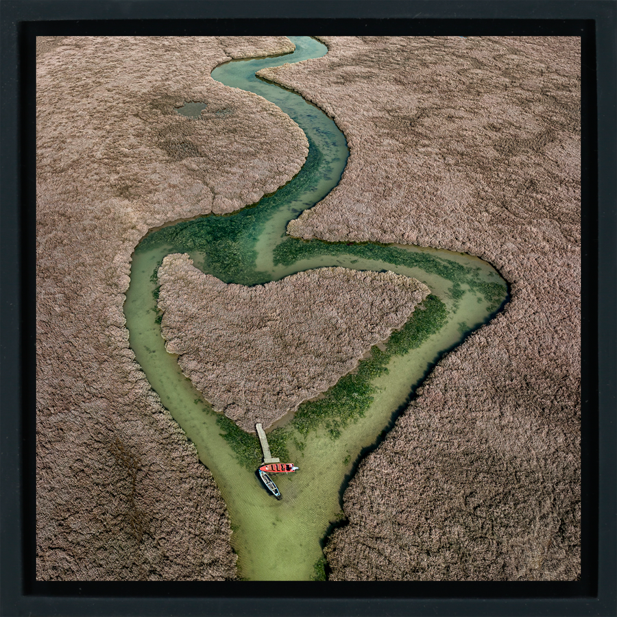 Heart of the Wetlands - Black Wrapp