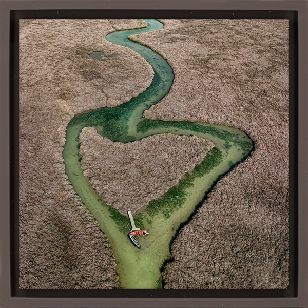 Heart of the Wetlands - Brown Wrapp