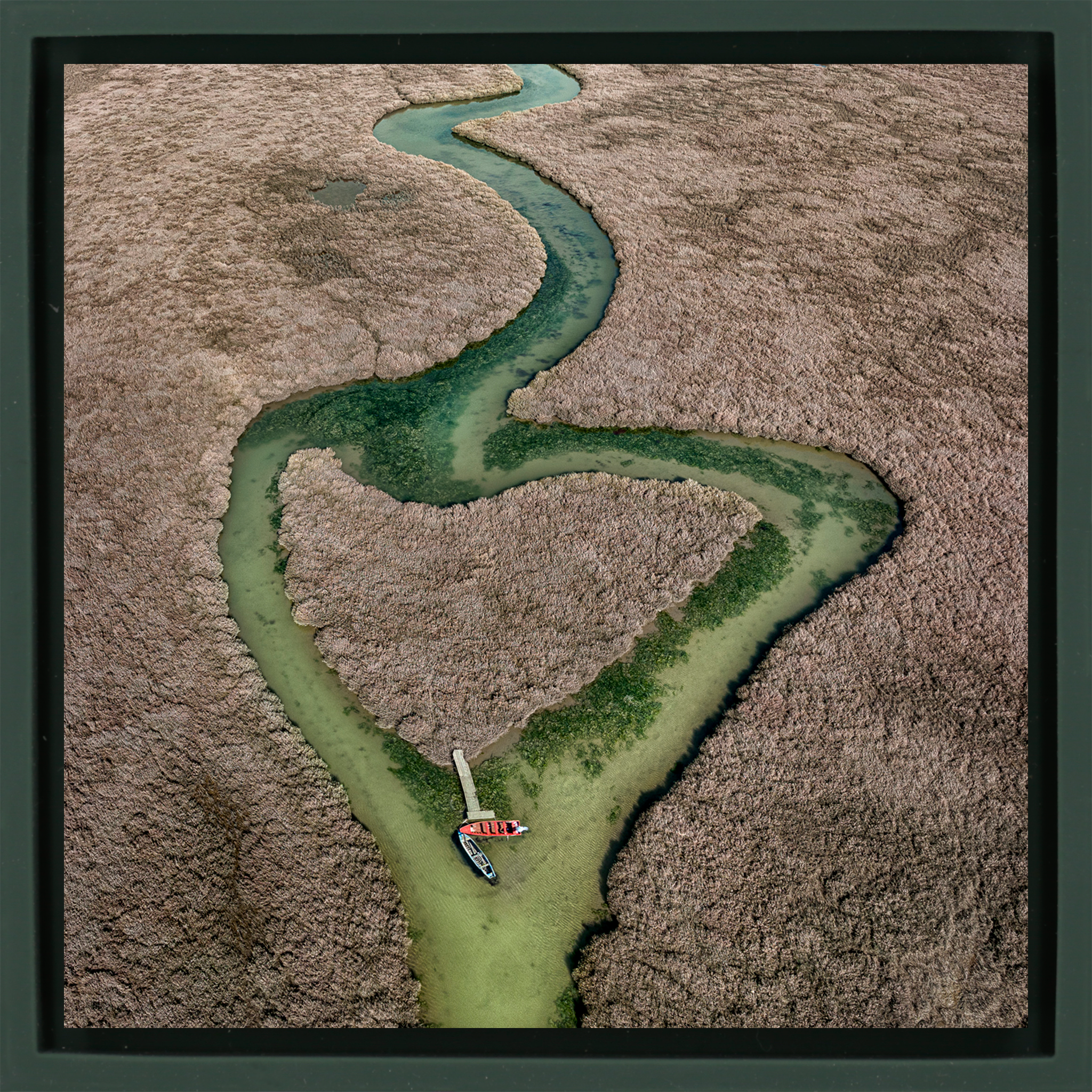 Heart of the Wetlands - Donkergroene Wrapp