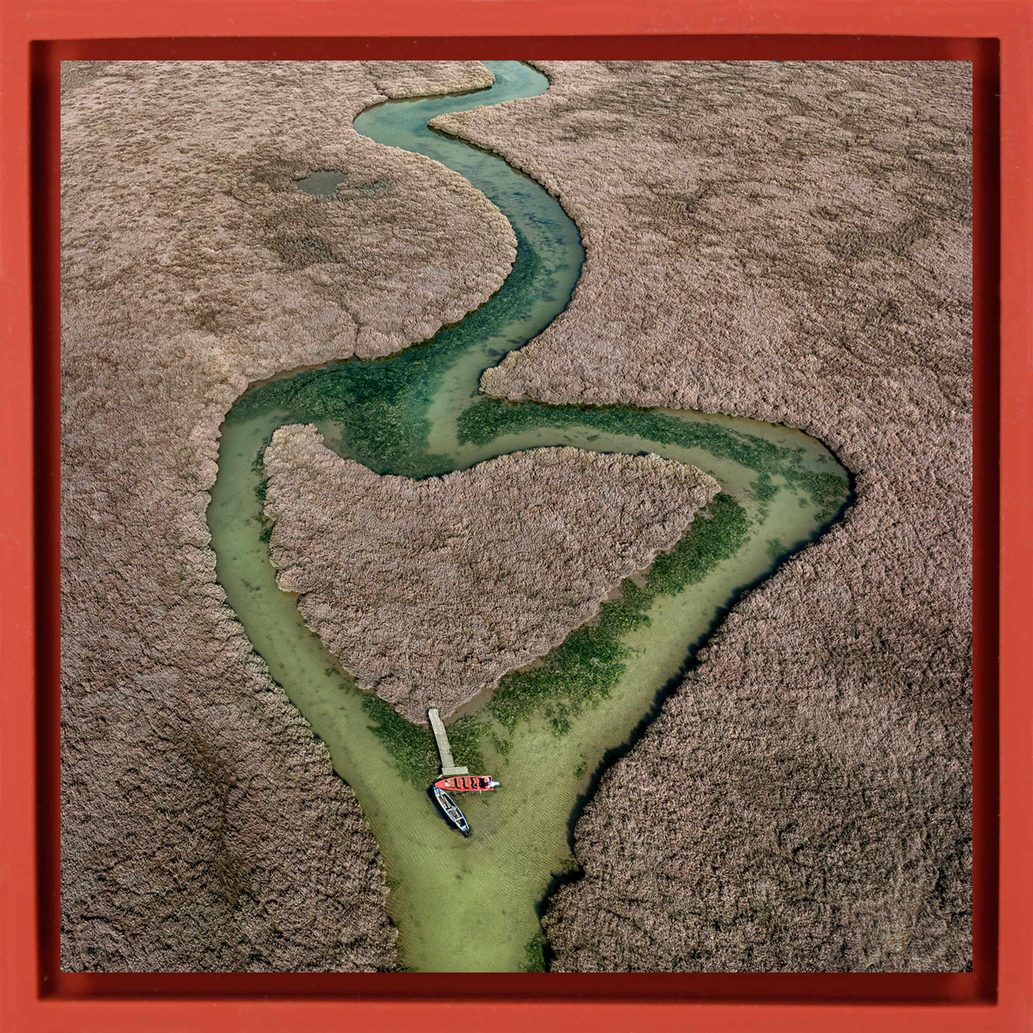 Heart of the Wetlands - Rode Wrapp
