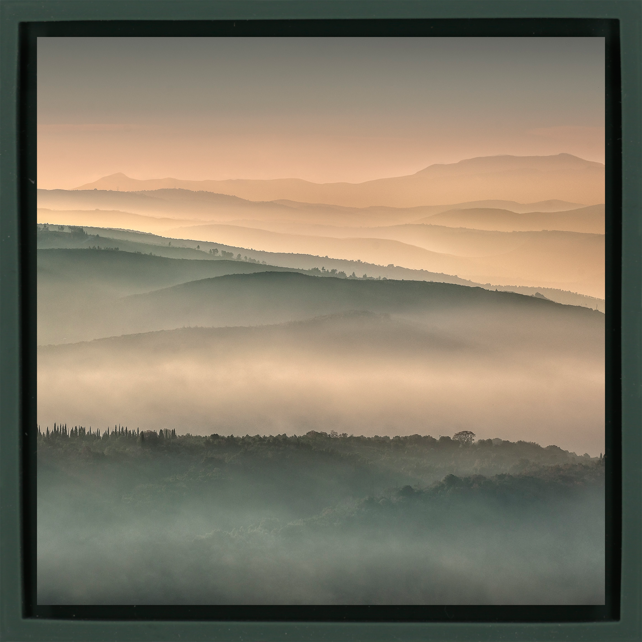 Golden Layers - Donkergroene Wrapp
