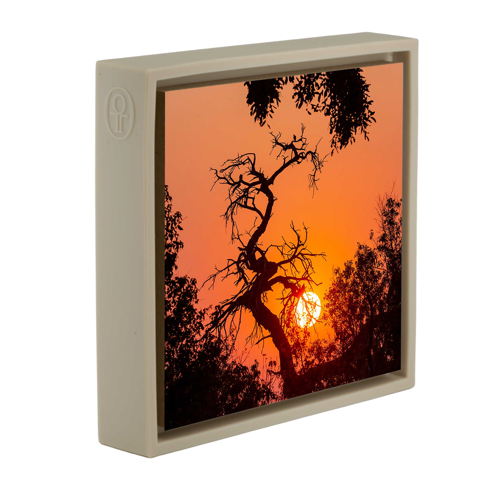 Sunset Tree - Zandkleurige Wrapp