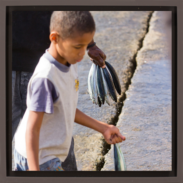 Fish Boy - Braune Wrapp