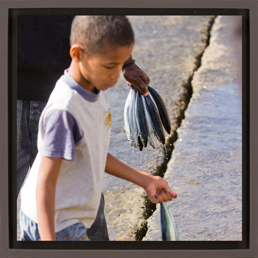 Fish Boy - Bruine Wrapp