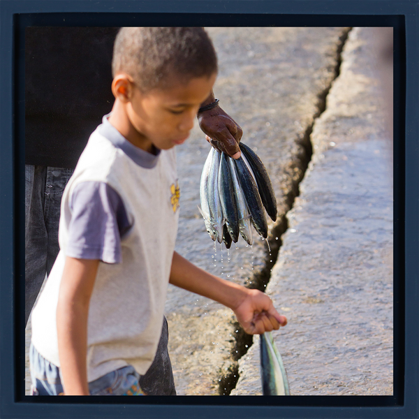 Fish Boy - Donkerblauwe Wrapp