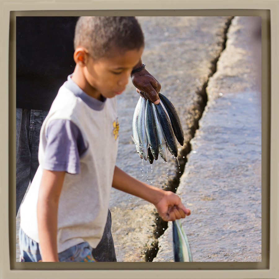 Fish Boy - Sandfarbene Wrapp