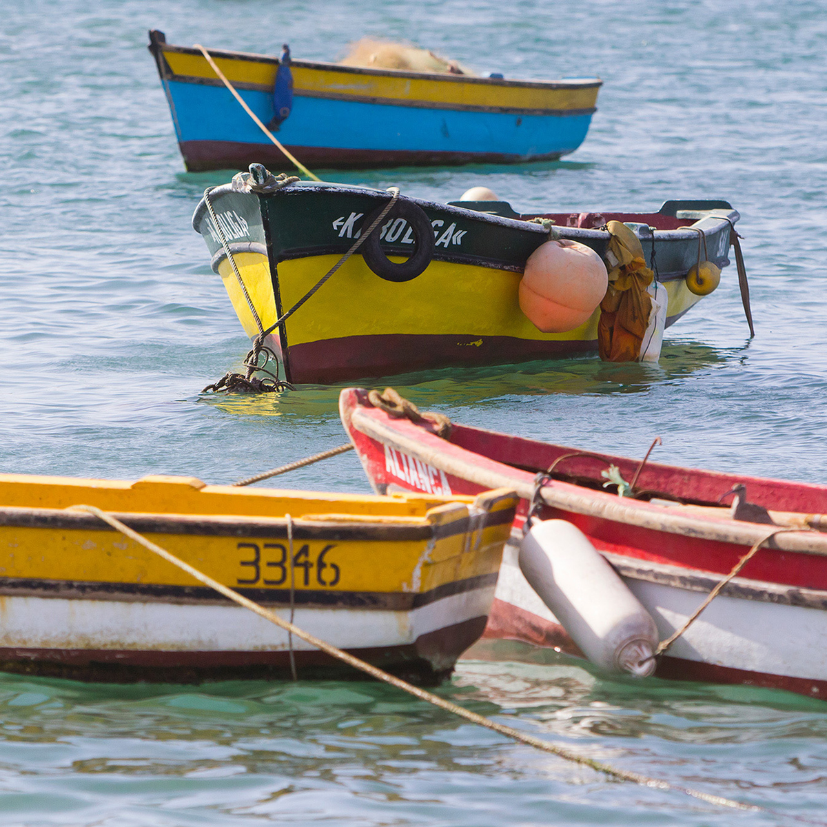 Small Fisher Boats