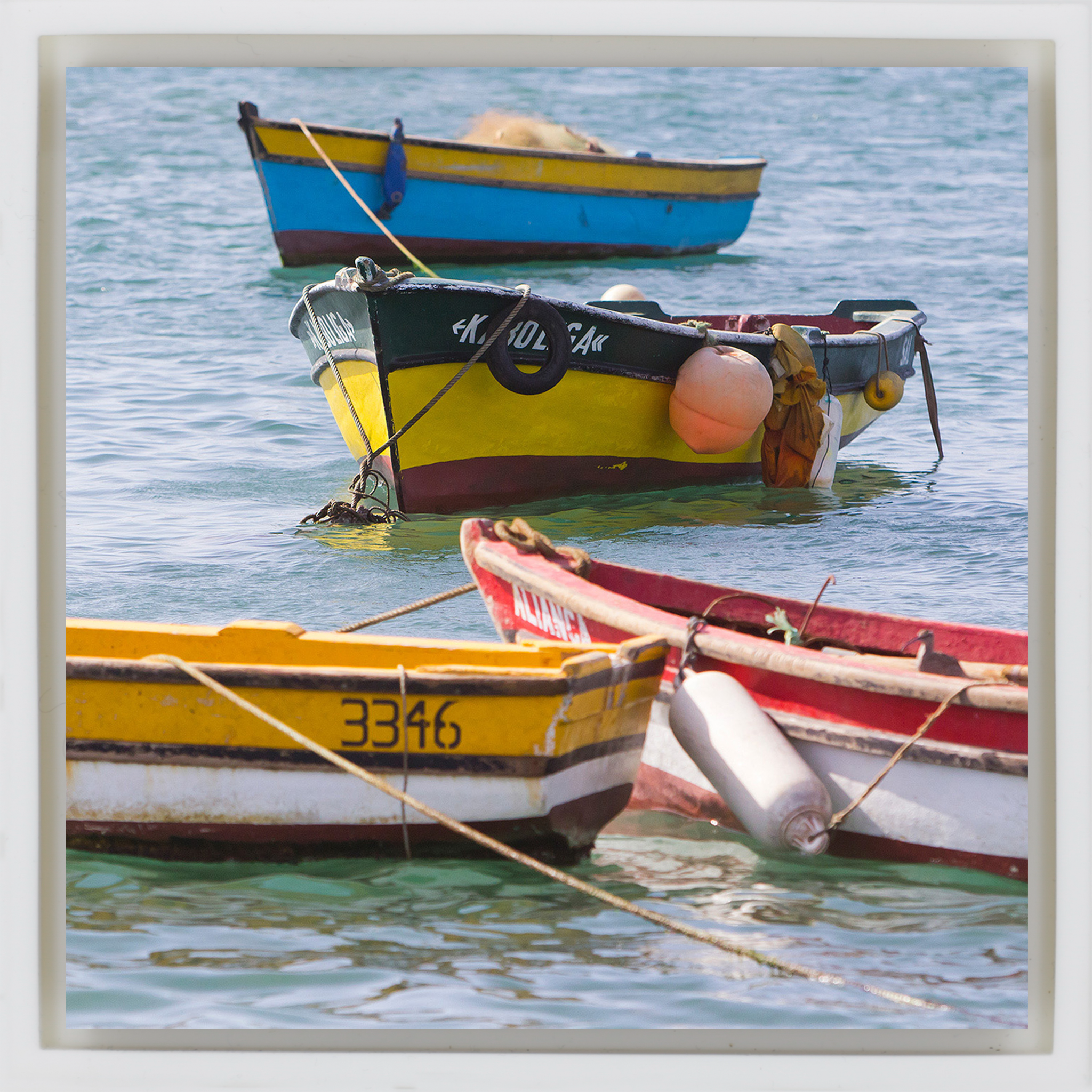 Small Fisher Boats - White Wrapp