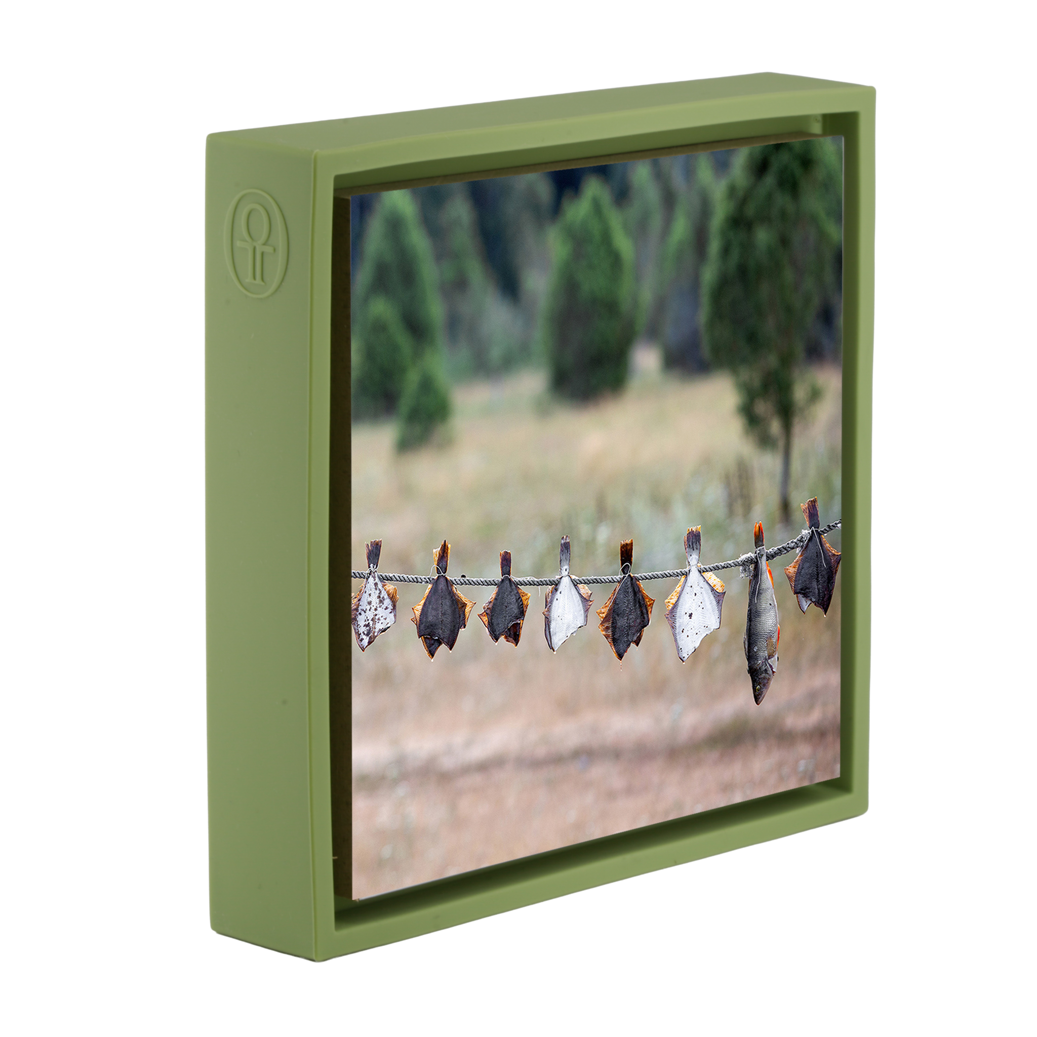 Drying Fish - Lichtgroene Wrapp