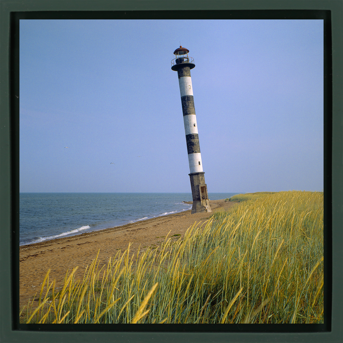 Light Tower