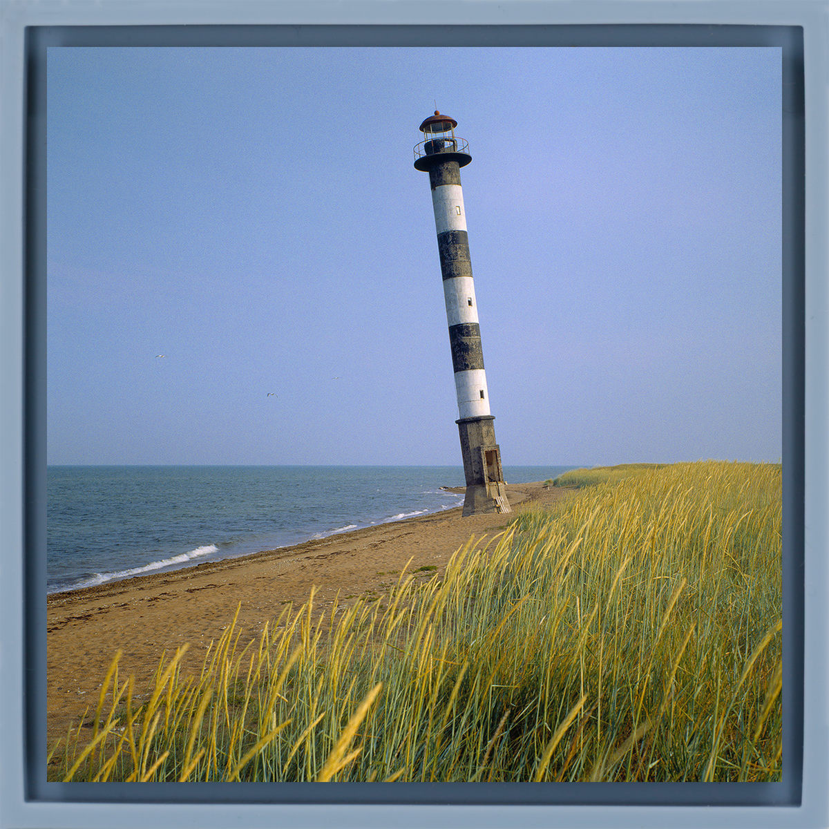 Light Tower