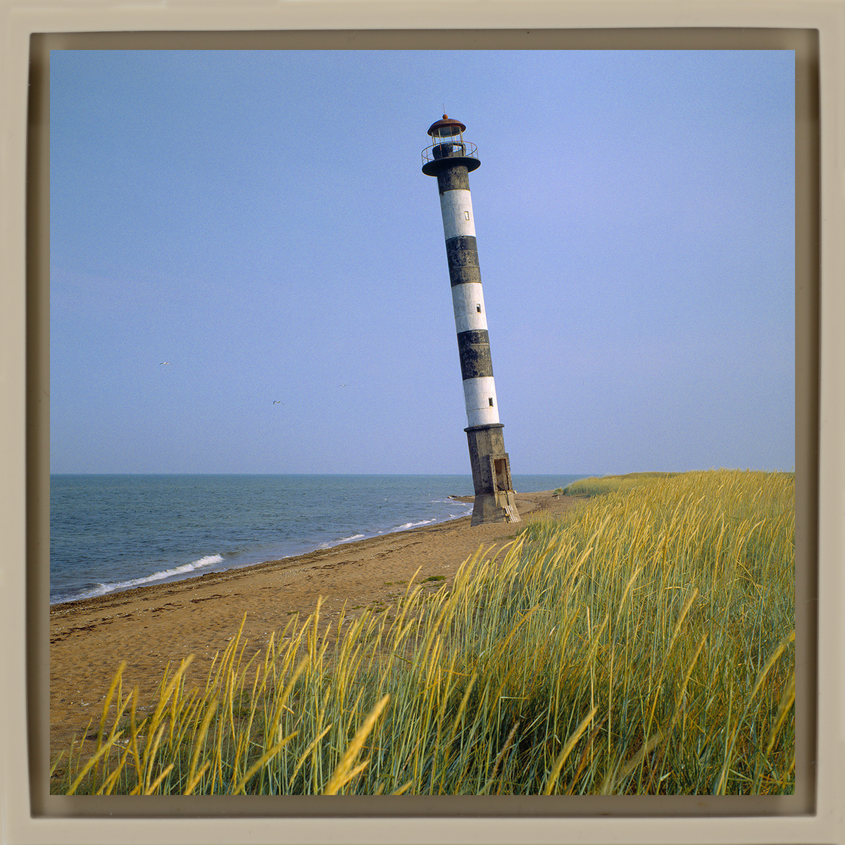 Light Tower