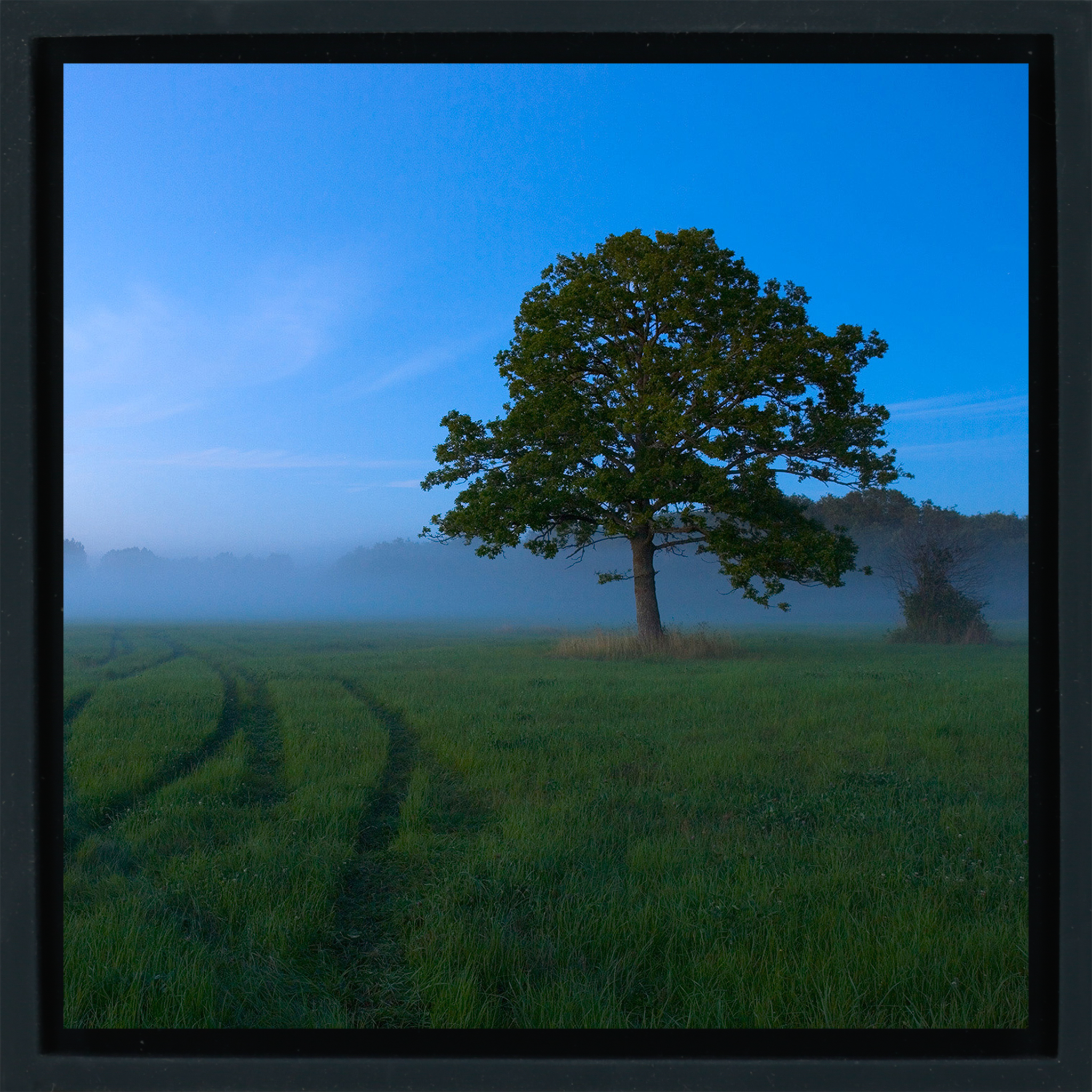 White Nights - Black Wrapp