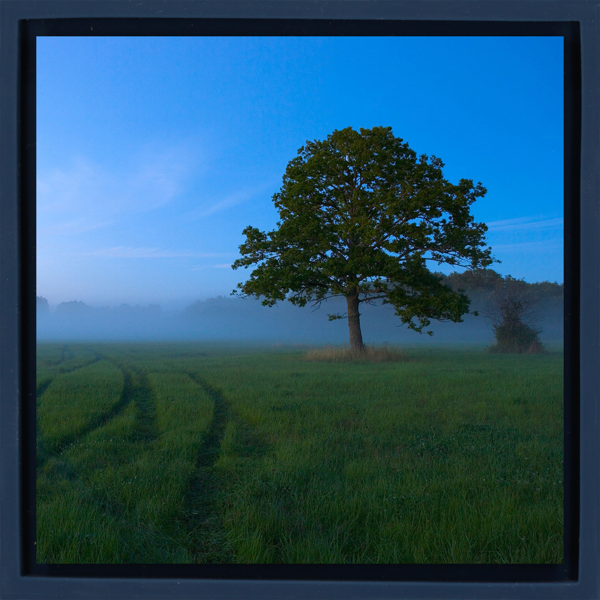 White Nights - Dark Blue Wrapp